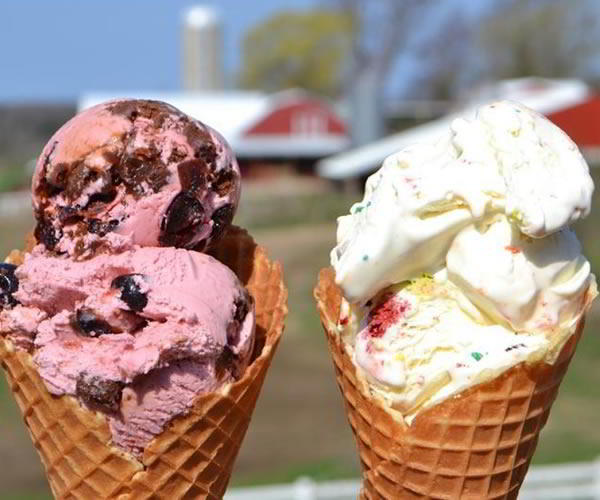 Barra de Helados